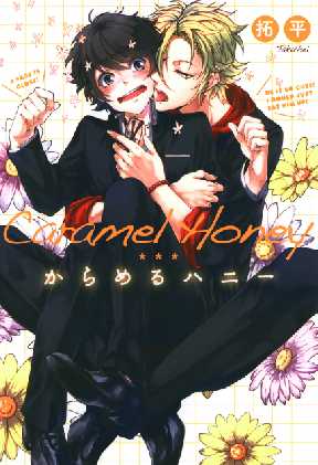 からめるハニー 全巻無料 試し読み漫画が読み放題 ゼロコミ 旧マンガzero 女性マンガ