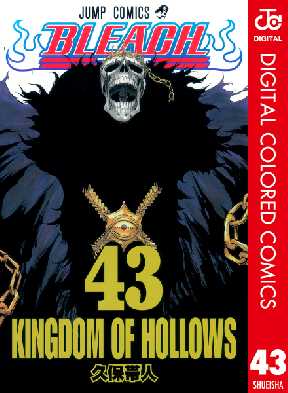Bleach カラー版 43 全巻無料 試し読み漫画が読み放題 ゼロコミ 少年マンガ